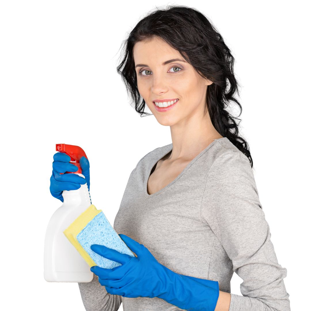 Professional cleaning services in South Holland